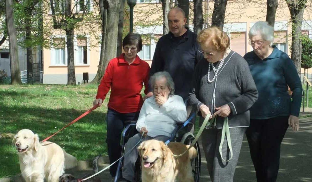 Pet Therapy