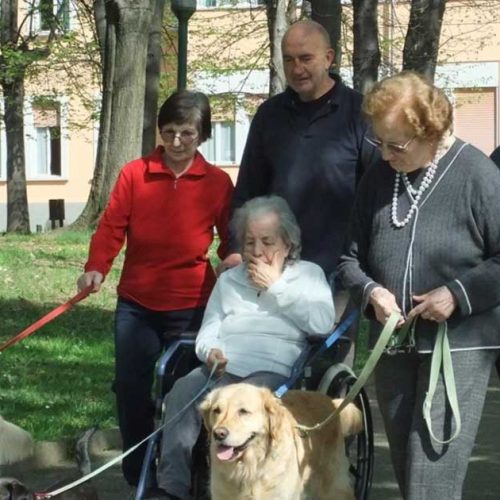 Pet Therapy